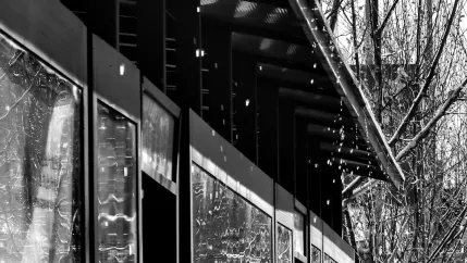 קזינו רויאל ואלי אפליקציה לנייד